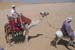 egypt_128
