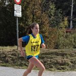 bzm_cross_country_2_9